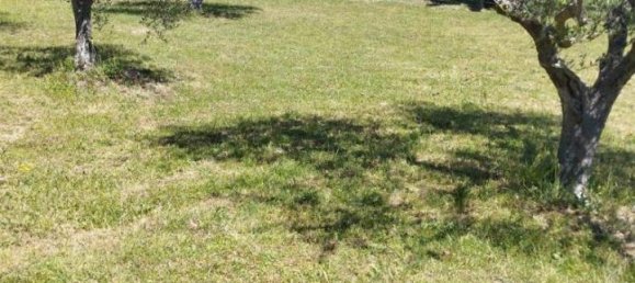 10 rooms Villa in Castiglione della Pescaia, Italy No. 17797 9