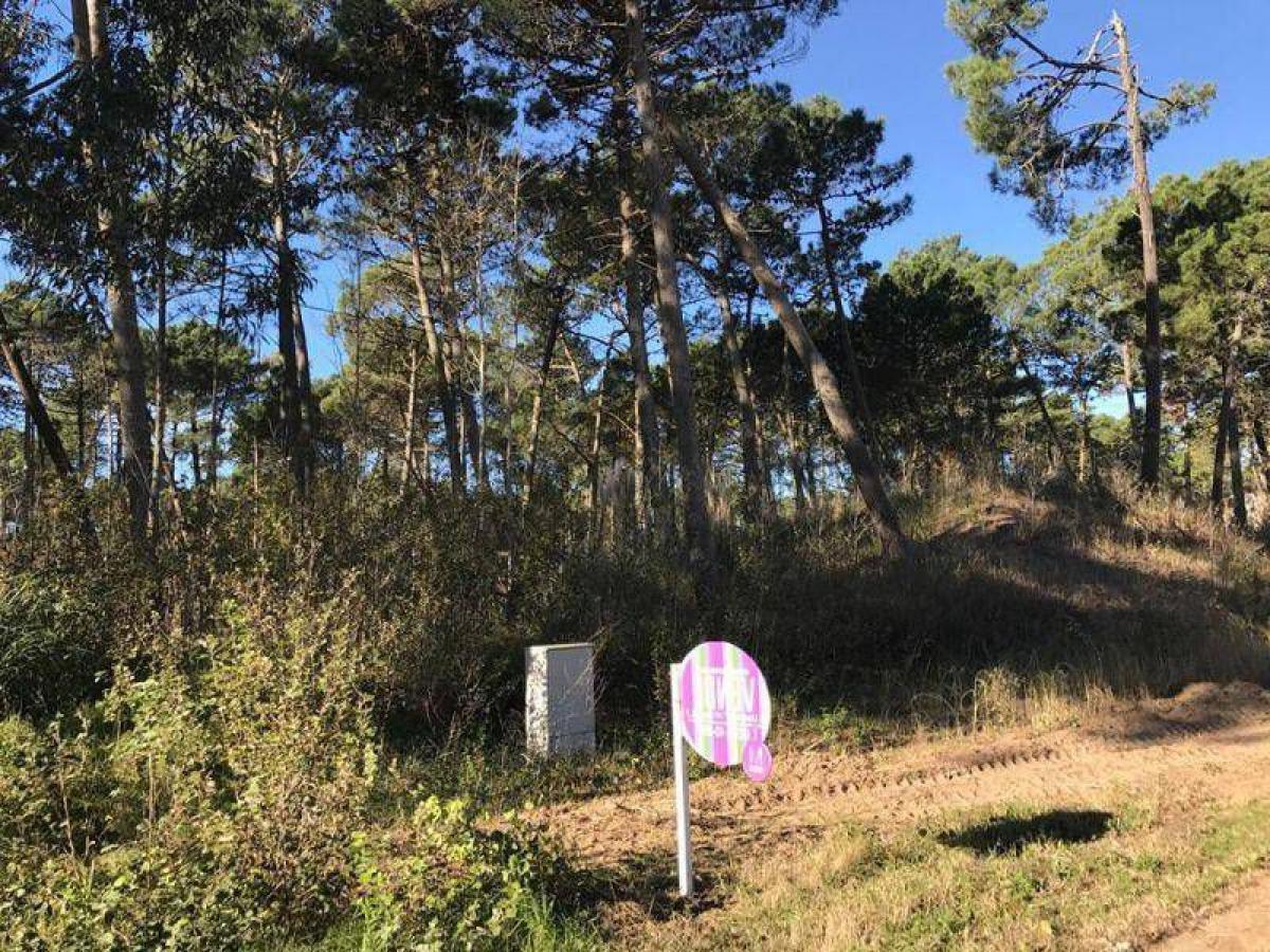 Terreno en Mar del Plata, Argentina No. 119943