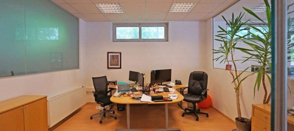 403m² Commercial property in Pressbaum, Austria No. 134937 8