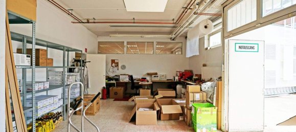 403m² Commercial property in Pressbaum, Austria No. 134937 12