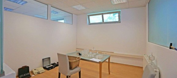 403m² Commercial property in Pressbaum, Austria No. 134937 9