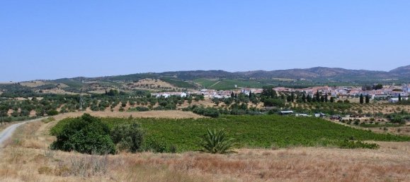 Castelos T9 em Vila de Frades, Portugal N.º 30829 11