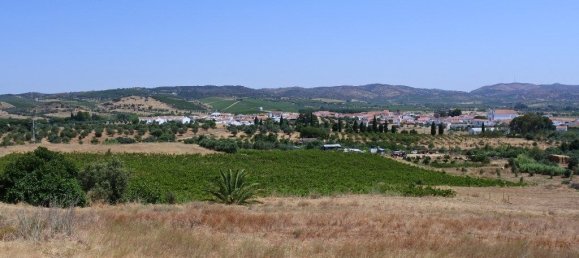 Castelos T9 em Vila de Frades, Portugal N.º 30829 6