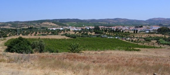 Castelos T9 em Vila de Frades, Portugal N.º 30829 5