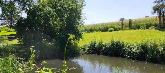 7-Zimmer Haus in Wienerwald, Austria, Nr. 221405 22