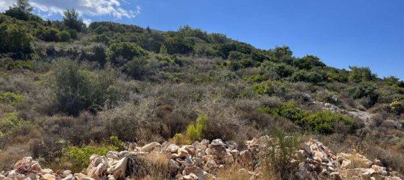 Terra em Zakynthos, Greece N.º 610 16