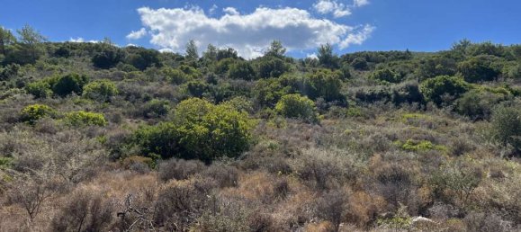  Hotel in Zakynthos, Greece No. 610 5