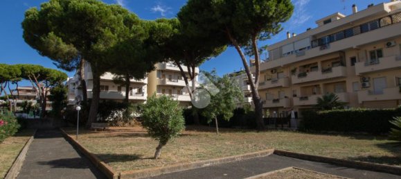 1 chambre Appartement à Santa Marinella, Italy No. 329417 20
