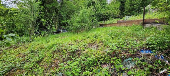 1923m² Land in Freudenstadt, Germany No. 3784 6