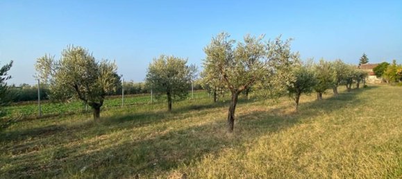 Grundstück in Eboli, Italy 2800m², Nr. 73886 10