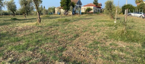 Grundstück in Eboli, Italy 2800m², Nr. 73886 11