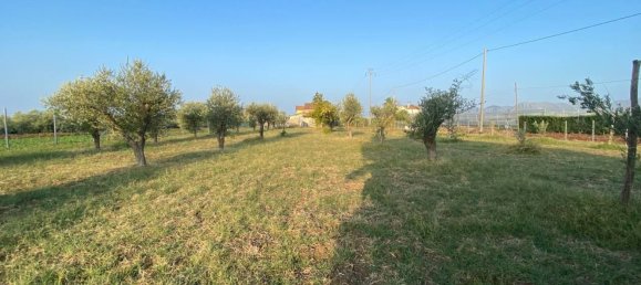 Grundstück in Eboli, Italy 2800m², Nr. 73886 9