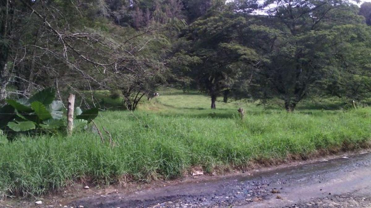  Land in Veracruz, Mexico No. 206402