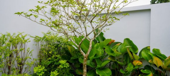 3 غرف نوم فيلا في Pattaya, Thailand رقم 75007 27