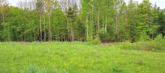 Terreno en Unterkohlstatten, Austria No. 107360 3