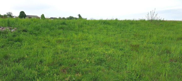 Terreno en Unterkohlstatten, Austria No. 107360 4