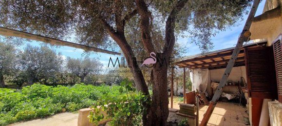 3 rooms House in Marsala, Italy No. 31661 6