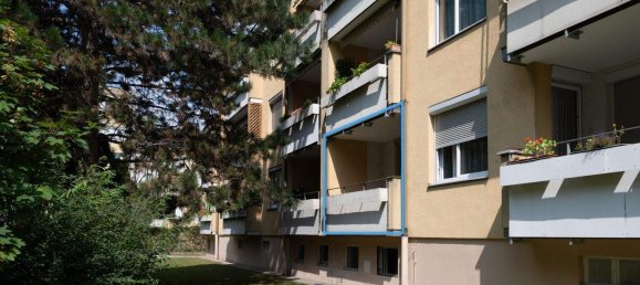 Квартира с 3 комнатами в Лангенцерсдорф, Австрия № 246162 13