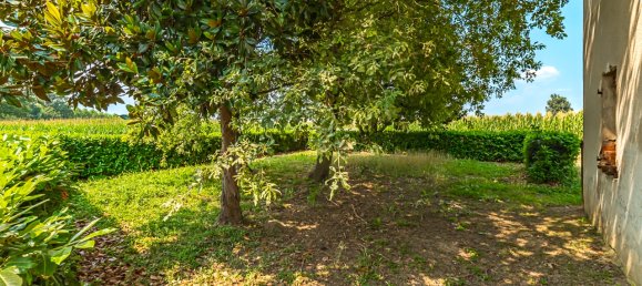 Дом с 9 комнатами в Карде, Италия № 175571 8