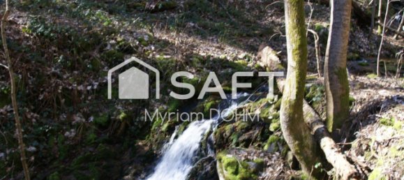 4 Schlafzimmer Haus in Saint-Jeure-d'Andaure, France, Nr. 203422 16