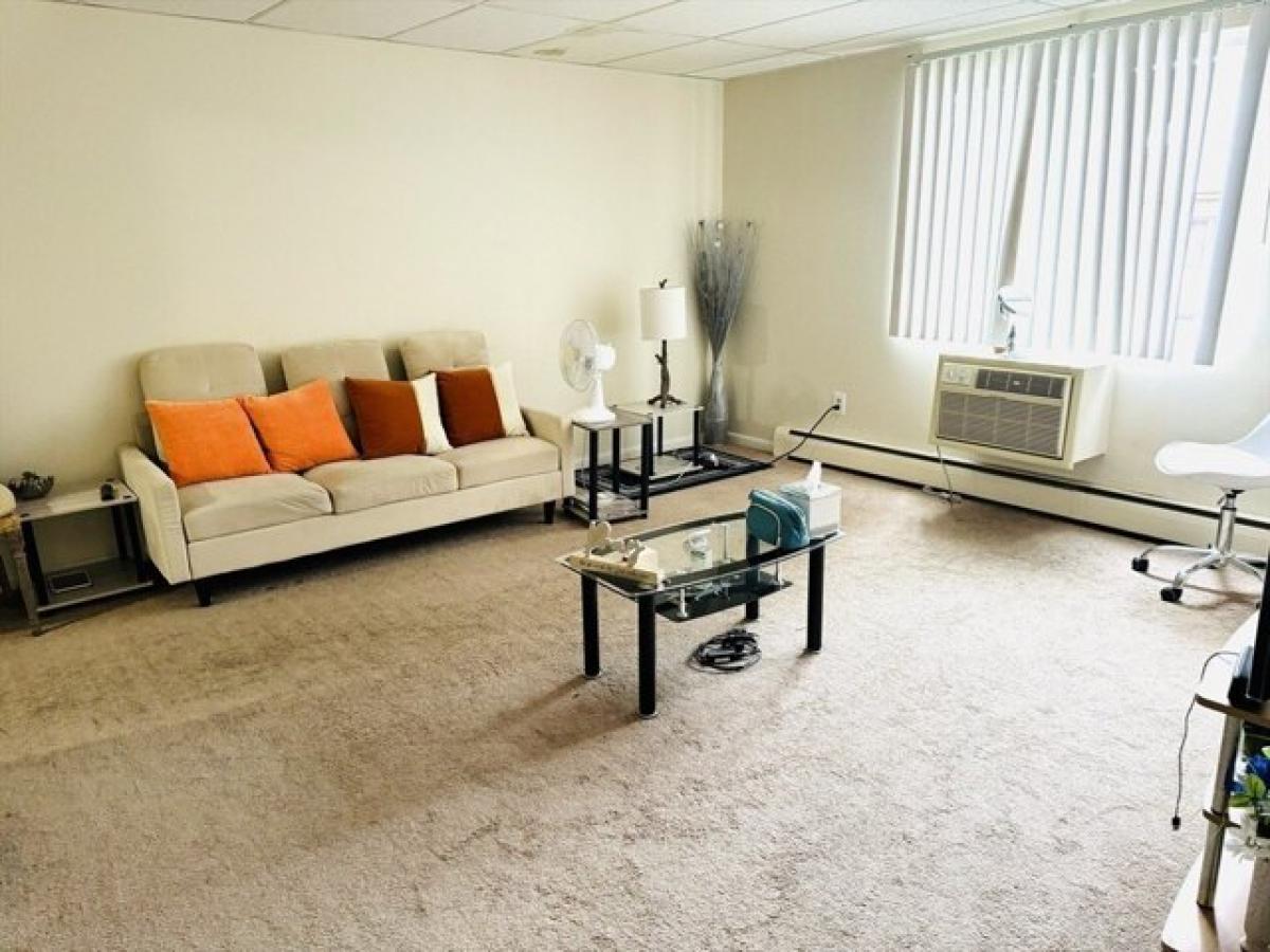 Студия в Челмсфорд, США № 438494