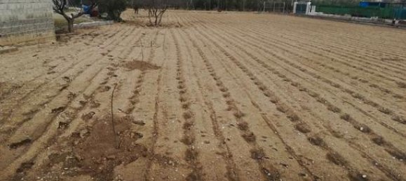 2500m² Land in Jaen, Spain No. 162013 6