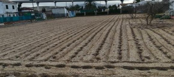 2500m² Land in Jaen, Spain No. 162013 3