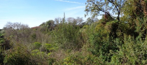 Terreno em Acireale, Italy 2775 m² N.º 171039 7