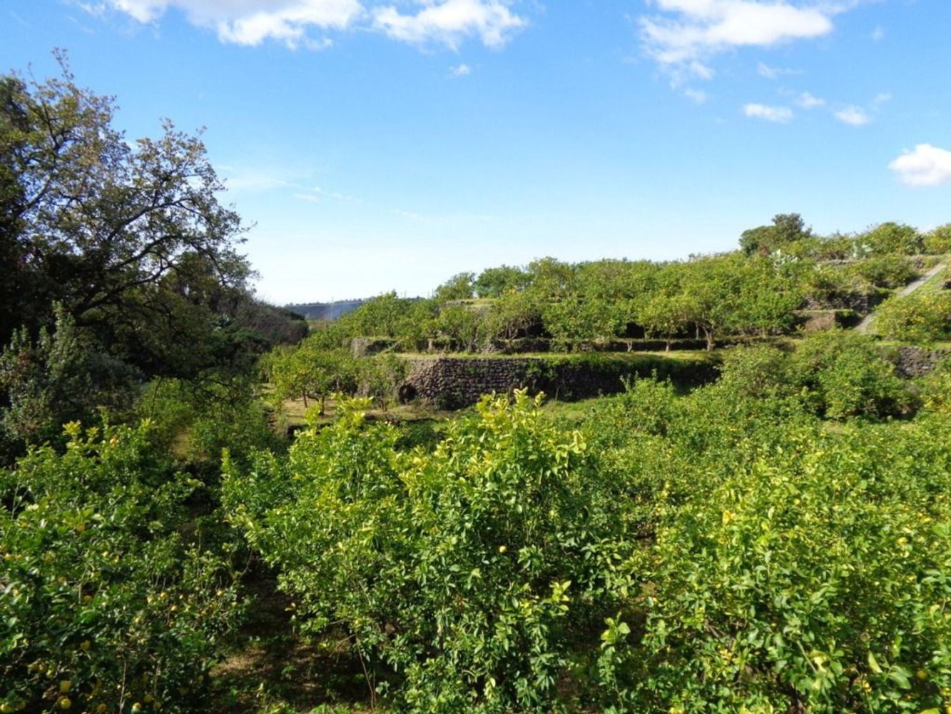 Terreno em Acireale, Italy 2775 m² N.º 171039