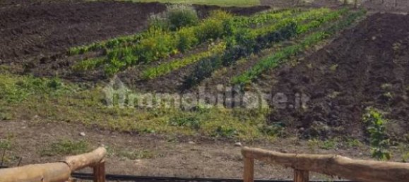 Hotel in Capestrano, Italy 400m², Nr. 303734 11