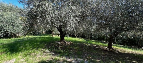 6 غرف نوم فيلا في Castelliri, Italy رقم 53487 37