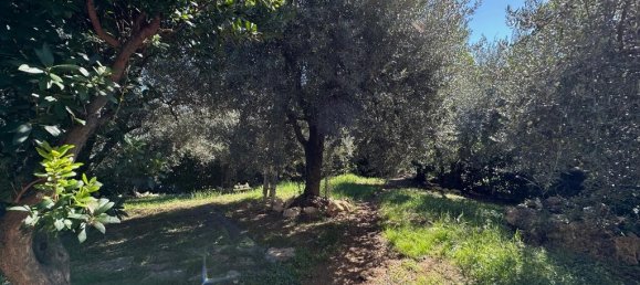 6 غرف نوم فيلا في Castelliri, Italy رقم 53487 28