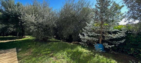 6 غرف نوم فيلا في Castelliri, Italy رقم 53487 39