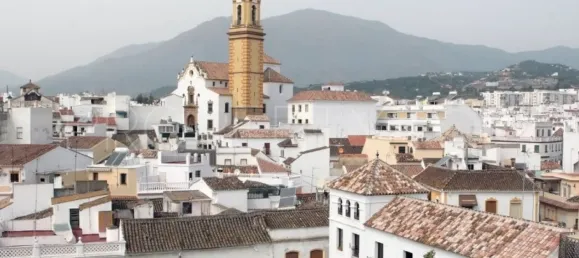 2 bedrooms Apartment in Estepona, Spain No. 177771 49