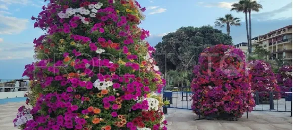 2 bedrooms Apartment in Estepona, Spain No. 177771 42