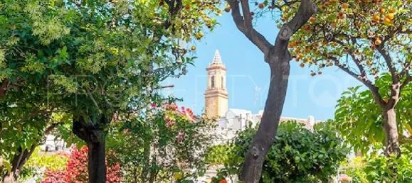 2 bedrooms Apartment in Estepona, Spain No. 177771 48