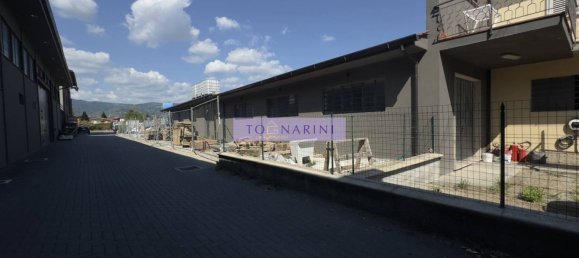 5غرفة مستودع في Massa e Cozzile, Italy رقم 351272 34