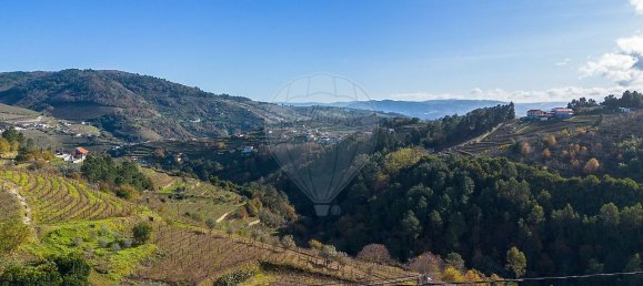 3 bedrooms House in Peso da Regua, Portugal No. 177739 7