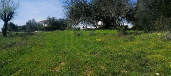 5 bedrooms House in Loule, Portugal No. 123043 8