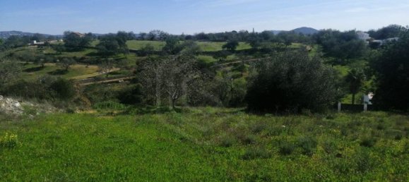 5 bedrooms House in Loule, Portugal No. 123043 9