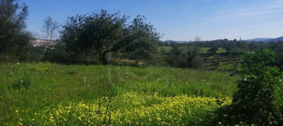 5 bedrooms House in Loule, Portugal No. 123043 11