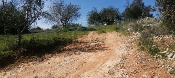 5 bedrooms House in Loule, Portugal No. 123043 7