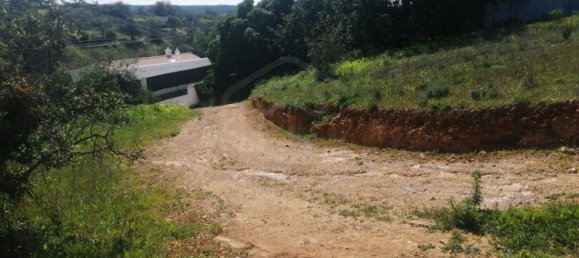 5 bedrooms House in Loule, Portugal No. 123043 6