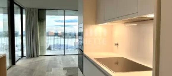 1 bedroom Apartment in Porto, Portugal No. 112913 10