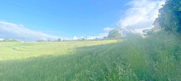 Terreno en Abegondo, Spain 1000 m² No. 32244 13