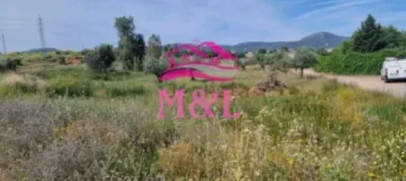 15000m² Land in Merida, Spain No. 142466 3