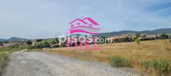 15000m² Land in Merida, Spain No. 142466 2