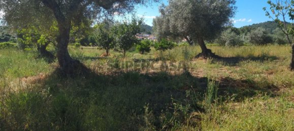 Grundstück in Fundao, Portugal 2040m², Nr. 154571 4