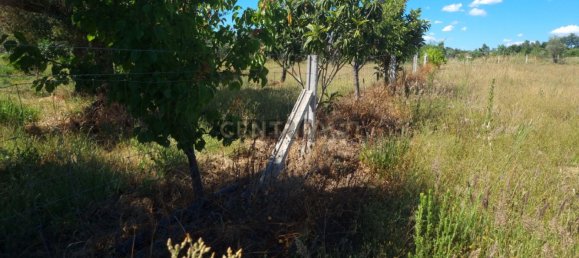 Grundstück in Fundao, Portugal 2040m², Nr. 154571 5