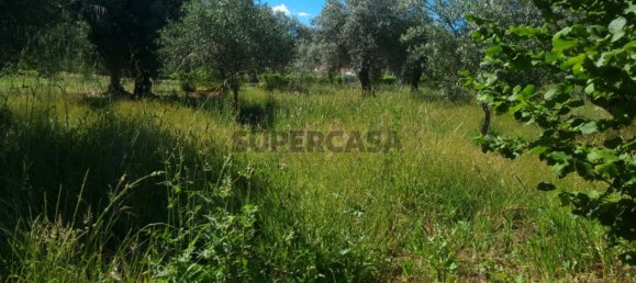 Grundstück in Fundao, Portugal 2040m², Nr. 154571 3